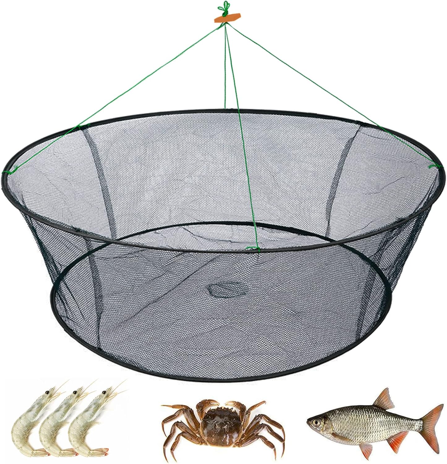 Fishing Gear